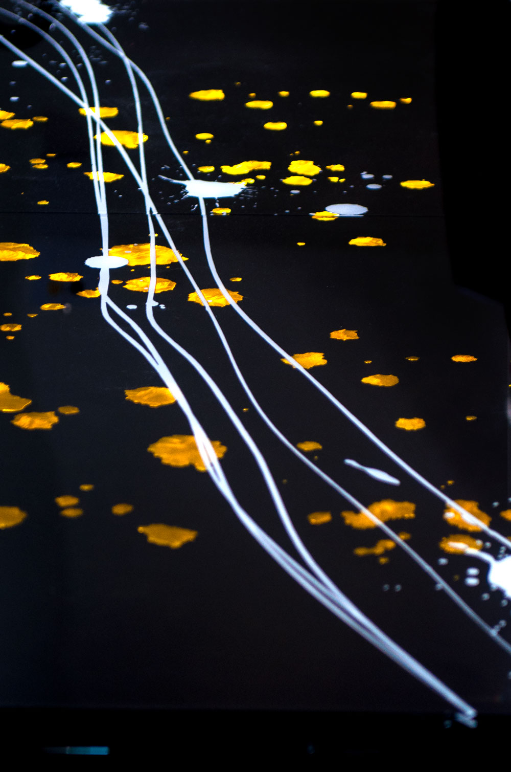 Gocce d’oro nel Fiume by UNICA — view 3